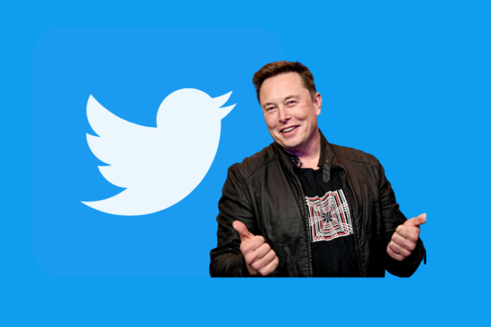 Why Elon Musk Bought Twitter and What Can You Learn From Him